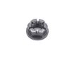 Differential Input Flange Nut - GP Cars